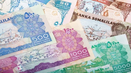 توقف قبول الشلن الصومالي بين التجار.. ماذا يحدث في العملة الوطنية؟ توقف قبول الشلن الصومالي بين التجار.. ماذا يحدث في العملة الوطنية؟