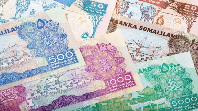 توقف قبول الشلن الصومالي بين التجار.. ماذا يحدث في العملة الوطنية؟ توقف قبول الشلن الصومالي بين التجار.. ماذا يحدث في العملة الوطنية؟