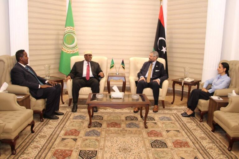 العلاقات الدبلوماسية الصومالية الليبية