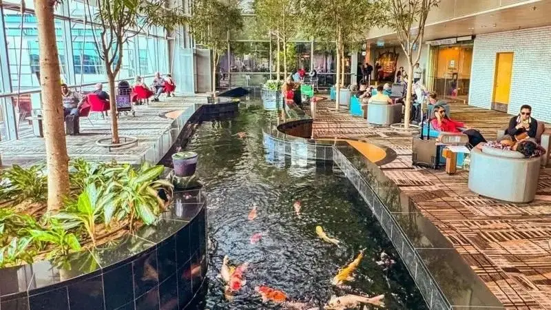 أفضل مطارات العالم.. سنغافورة تتربع على العرش بفضل التكنولوجيا ورفاهية المسافر