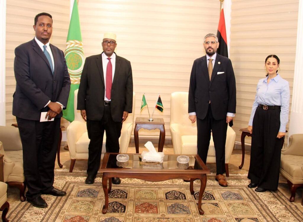 العلاقات الدبلوماسية الصومالية الليبية