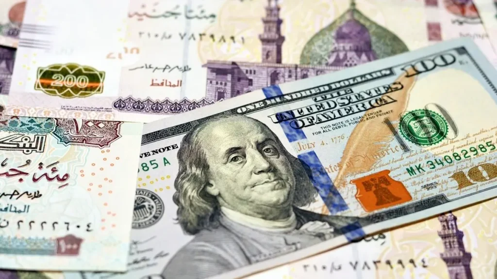 سعر الدولار في مصر.. جدل حول فاعلية تحويلات المغتربين في كبح التقلبات النقدية