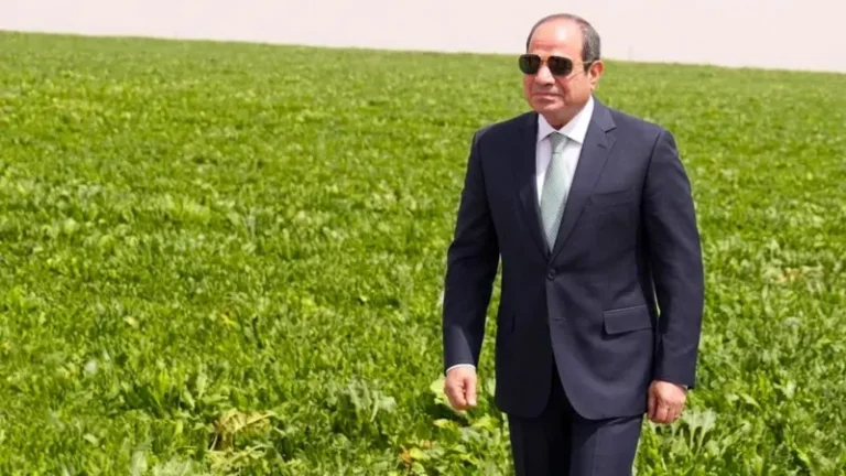 مشروع الدلتا الجديدة.. تحديات المياه والتمويل تعوق الاكتفاء الزراعي في مصر