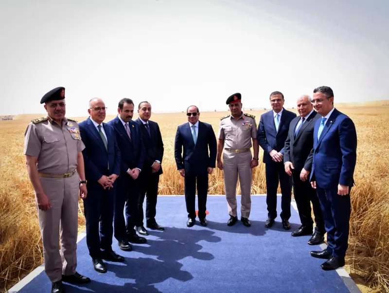 مشروع الدلتا الجديدة.. تحديات المياه والتمويل تعوق الاكتفاء الزراعي في مصر