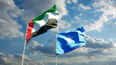 العلاقات الإماراتية الصومالية