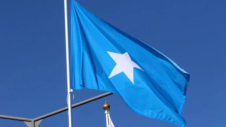 أسبوع الثقافة الصومالية في برمنغهام: فعاليات متنوعة للاحتفاء بالهوية وتاريخ الجالية