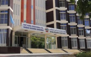 حركة الشباب في مقديشو