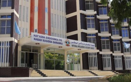 حركة الشباب في مقديشو