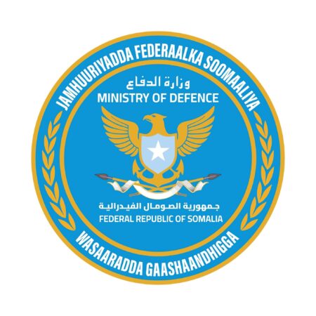 الجيش الصومالي يقتل قياديين من حركة الشباب في عملية البصرة الجيش الصومالي