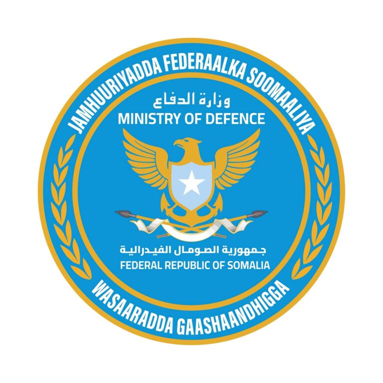 الجيش الصومالي يقتل قياديين من حركة الشباب في عملية البصرة الجيش الصومالي