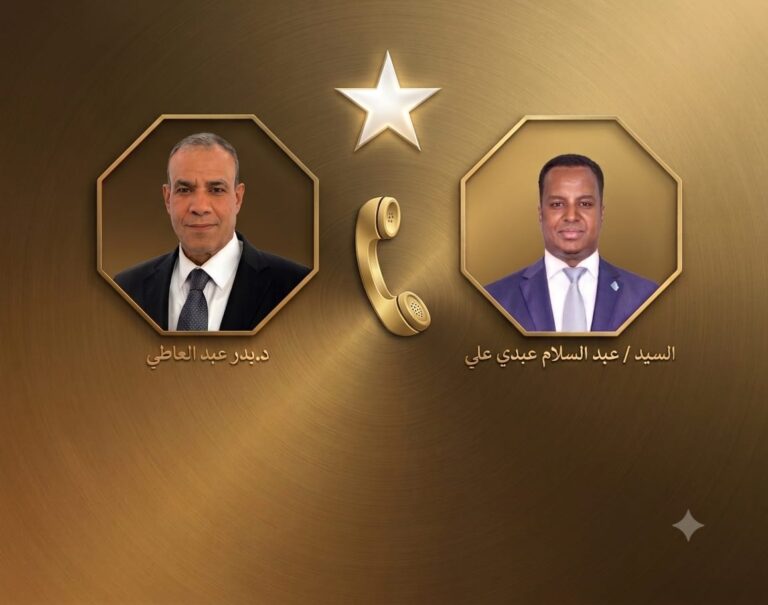 وزيرا خارجية الصومال ومصر