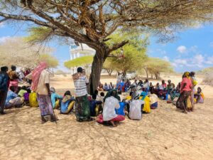 المجالس الصومالية ودورها في حل النزاعات وتعزيز التماسك المجتمعي المجالس الصومالية