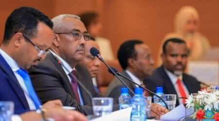 إصلاحات التجارة في الصومال تفتح فرصًا جديدة في الأسواق الأفريقية إصلاحات التجارة في الصومال